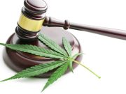 შეამცირებს თუ არა ნარკოდამოკიდებულთა რაოდენობას კანონის გამკაცრება