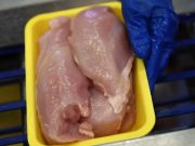 უნდოდათ, ეთქვათ, – რუსები მოწამვლას გვიპირებდნენო, მაგრამ, როცა გაირკვა, რომ სალმონელიანი ხორცი მიხაილ როთის გერმანიიდან იყო შემოტანილი, კრინტი არ დაუძრავთ