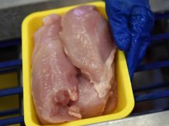 უნდოდათ, ეთქვათ, – რუსები მოწამვლას გვიპირებდნენო, მაგრამ, როცა გაირკვა, რომ სალმონელიანი ხორცი მიხაილ როთის გერმანიიდან იყო შემოტანილი, კრინტი არ დაუძრავთ