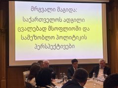 საქართველოს ადგილი ცვალებად მსოფლიოში და სამეზობლო პოლიტიკის პერსპექტივები