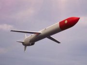 შემაძრწუნებელი პასუხი