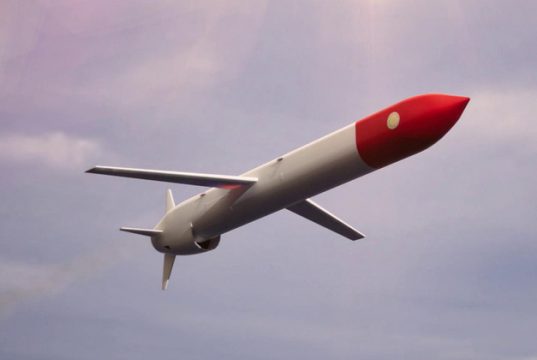 შემაძრწუნებელი პასუხი