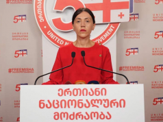 ანა წითლიძე – არ გვაღელვებს რუსული საოკუპაციო რეჟიმის მიერ დაწერილი არცერთი საკონსტიტუციო სარჩელი, პირიქით, ჩვენთვის პატივია, როდესაც რეჟიმი გკრძალავს