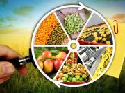 საგანგაშო ვითარება – ქვეყნის მშპ-ში სოფლის მეურნეობის წილი წლიდან წლამდე მცირდება და შარშან ის 6,2 პროცენტს შეადგენდა