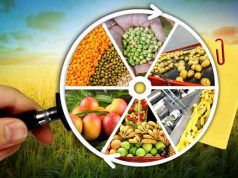 საგანგაშო ვითარება – ქვეყნის მშპ-ში სოფლის მეურნეობის წილი წლიდან წლამდე მცირდება და შარშან ის 6,2 პროცენტს შეადგენდა