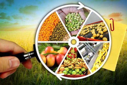 საგანგაშო ვითარება – ქვეყნის მშპ-ში სოფლის მეურნეობის წილი წლიდან წლამდე მცირდება და შარშან ის 6,2 პროცენტს შეადგენდა