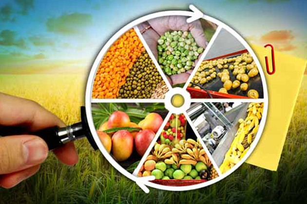 საგანგაშო ვითარება - ქვეყნის მშპ-ში სოფლის მეურნეობის წილი წლიდან წლამდე მცირდება და შარშან ის 6,2 პროცენტს შეადგენდა