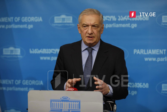 გია ვოლსკი – საქართველოს მოქალაქე არ უნდა იყოს იმ პოლიტიკური ატმოსფეროს გავლენის ქვეშ, რომელიც საზღვარგარეთ კონკრეტული პოლიტიკური მიზნებიდან გამომდინარე ყალიბდება