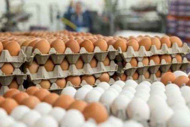 თქვეს, იანვარში კვერცხი გაძვირდებაო და... ახლა გააძვირეს, ანუ 2-3 კვირაც არ დაელოდნენ და იანვრისთვის გამზადებული „საყვლეფი დანადგარი“ ახლა აამუშავეს