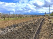 ვინმემ იკითხა, სოფლის მეურნეობაში დახარჯული მილიარდები სად წავიდა, რა გაკეთდა, რა სარგებელი მოიტანა?