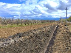 ვინმემ იკითხა, სოფლის მეურნეობაში დახარჯული მილიარდები სად წავიდა, რა გაკეთდა, რა სარგებელი მოიტანა?