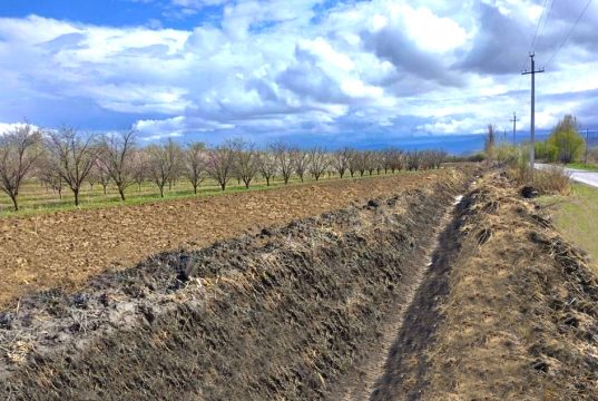 ვინმემ იკითხა, სოფლის მეურნეობაში დახარჯული მილიარდები სად წავიდა, რა გაკეთდა, რა სარგებელი მოიტანა?