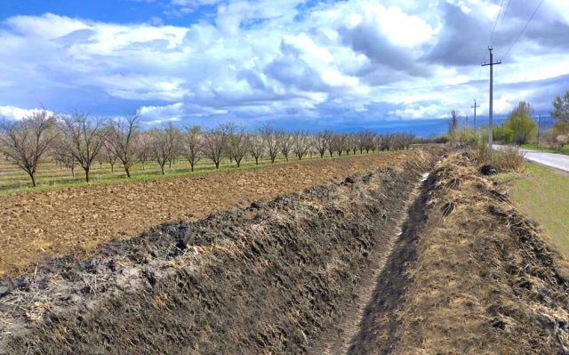 ვინმემ იკითხა, სოფლის მეურნეობაში დახარჯული მილიარდები სად წავიდა, რა გაკეთდა, რა სარგებელი მოიტანა?