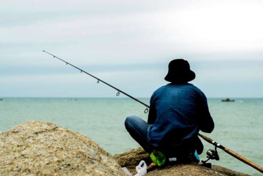 როდემდე უნდა დავურიგოთ ადამიანებს თევზი ანკესის ნაცვლად და არ ვასწავლოთ თევზაობა?