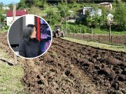 „იმპორტირებულ პროდუქციასთან კონკურენცია გვიჭირს – რთულია მარკეტებში შესვლაც“ – რატომ მცირდება საქართველოში ნათესი ფართობი „იმპორტირებულ პროდუქციასთან კონკურენცია გვიჭირს - რთულია მარკეტებში შესვლაც“ - რატომ მცირდება საქართველოში ნათესი ფართობი