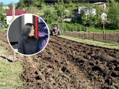 „იმპორტირებულ პროდუქციასთან კონკურენცია გვიჭირს – რთულია მარკეტებში შესვლაც“ – რატომ მცირდება საქართველოში ნათესი ფართობი „იმპორტირებულ პროდუქციასთან კონკურენცია გვიჭირს - რთულია მარკეტებში შესვლაც“ - რატომ მცირდება საქართველოში ნათესი ფართობი