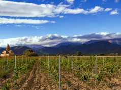 ბატონებო, სოფლის მეურნეობა ასე ვერ განვითარდება!