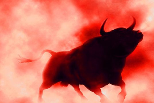 ჩვენ – ქართველი ხარები