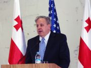 Экс-посол США недоволен тем, как Грузия поддерживает Украину