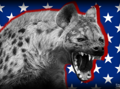 ОПЕРАЦИЮ НА УКРАИНЕ СПРОВОЦИРОВАЛ ЗАПАД – AMERICAN CONSERVATIVE