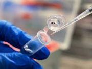 Минобороны обнародовало документы о связи США с биолабораториями на Украине