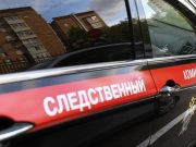 СК России установил имена 24 наемников из Грузии, воюющих на Украине