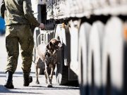 Casus Lietuvos Литву не устроила инструкция Еврокомиссии по калининградскому транзиту