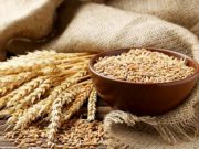 Согласно постановлению правительства, подписанному премьер-министром, экспорт пшеницы и ячменя из Грузии запрещен до 1 июля 2023 года Экспорт пшеницы и ячменя из Грузии запрещен