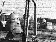 Лидер украинских националистов 1980-х годов оказался нацистским карателем