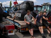 Spiegel: в Нидерландах полиция открыла огонь по тракторам протестующих фермеров