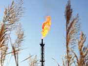 «Не в их интересах»: почему в МИД РФ усомнились в готовности Европы полностью разорвать связи с Россией