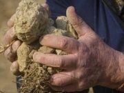 Италию накрыла самая мощная за 70 лет засуха. На севере страны введен режим ЧС