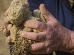 Италию накрыла самая мощная за 70 лет засуха. На севере страны введен режим ЧС