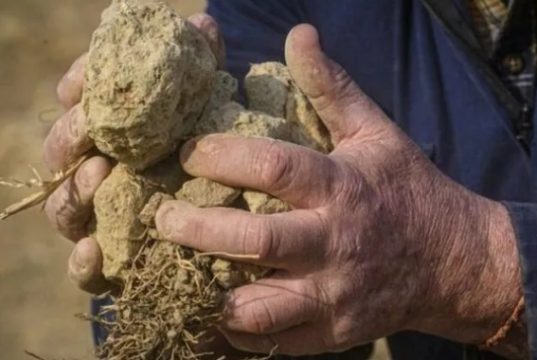 Италию накрыла самая мощная за 70 лет засуха. На севере страны введен режим ЧС