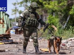 На освобожденных территориях ЛНР находят тысячи мин иностранного производства