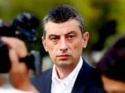 По словам председателя партии «За Грузию» Георгия Гахария, «нападки» на посла США Келли Дегнан являются «открытой атакой» на западный курс Грузии Георгий Гахария