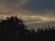 Истребители НАТО устроили ночную провокацию в 40 километрах от Калининградской области