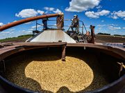 Кто придумал миф об угрозе глобального голода