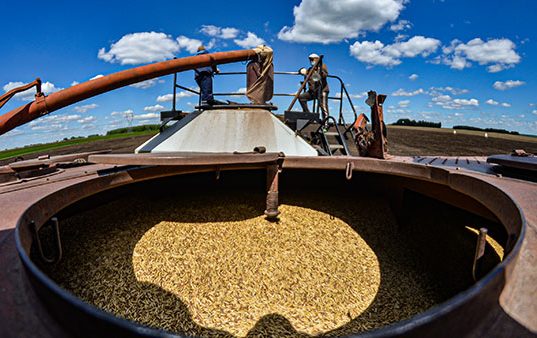 Кто придумал миф об угрозе глобального голода