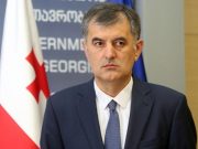 Келли Дегнан подтвердила, что на встрече с Бидзиной Иванишвили обсуждались стратегические вопросы Созар Субари