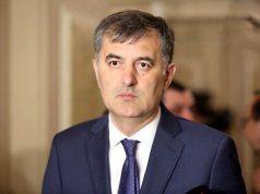 Созар Субари: Я хотел бы спросить Дегнана, выражала ли она во время встречи с Иванишвили недовольство позицией правительства в отношении войны и настаивала ли она на его возвращении в политику Созар Субари