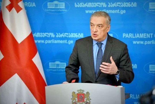 Георгий Вольский: так называемая радикальная оппозиция уже открыто заявляет, что дестабилизация остается стратегическим планом Георгий Вольский