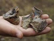 ВСУ нанесли удар по детскому саду в Горловке, здание загорелось