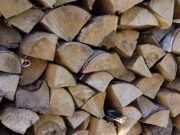 Из-за высоких цен на газ голландцы запасаются на зиму дровами