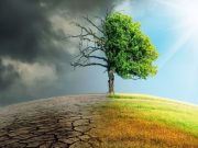 Ведущие ученые мира подписали меморандум о бессмысленности борьбы с изменением климата