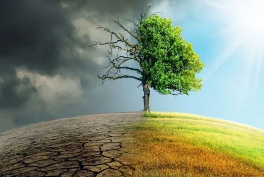 Ведущие ученые мира подписали меморандум о бессмысленности борьбы с изменением климата