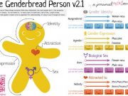 Родители в шоке: в США в уроки сексуального образования включен «гендерный пряник»