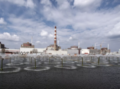 Военный обозреватель указал, для чего в действительности МАГАТЭ организовало миссию на ЗАЭС