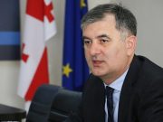 29 июля депутат парламента Грузии Созар Субари обратился к послу США в Грузии Келли Дегнан с открытым письмом и попросил ее ответить на несколько вопросов: