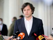 Ираклий Кобахидзе: Фальсификацию параллельного подсчета нельзя назвать незначительной статистической погрешностью Ираклий Кобахидзе